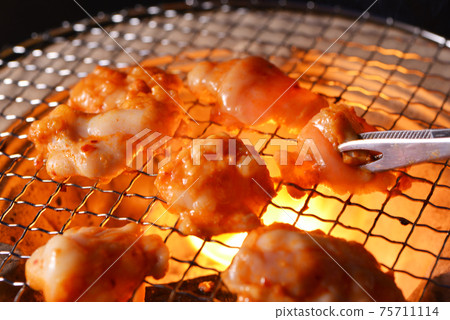 Grilled hormone Grilled hormone 75711114