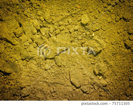 ground texture 75711305