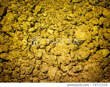 ground texture 75711319