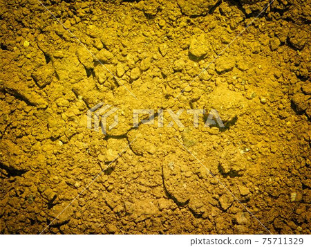 ground texture 75711329