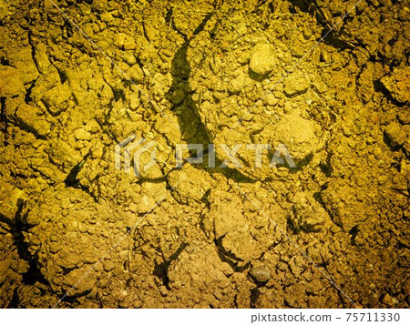ground texture ground texture 75711330