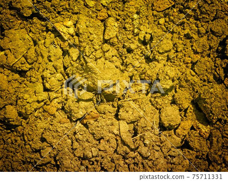 ground texture ground texture 75711331