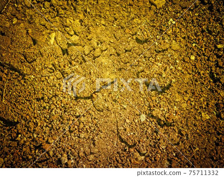 ground texture 75711332