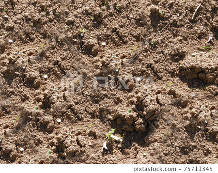 ground texture ground texture 75711345