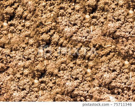 ground texture 75711346