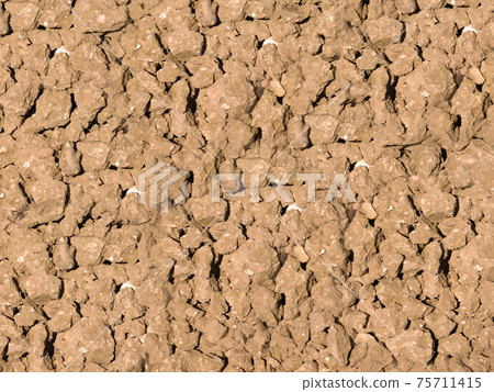 ground texture 75711415