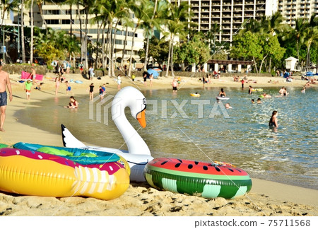 Holidays in Hawaii 75711568