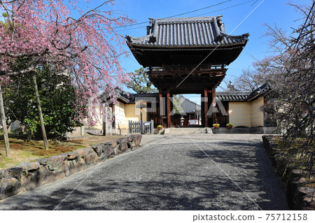 Nanji Temple Domyoji Temple 75712158