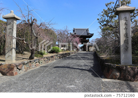 Nanji Temple Domyoji Temple 75712160