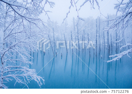 美瑛鎮冬季雪妝藍色池塘 美瑛鎮冬季雪妝藍色池塘 75712276