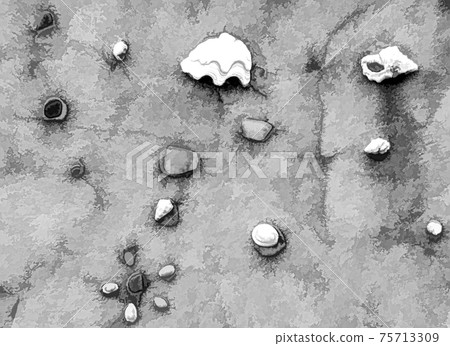 Shells and washed-up pieces of glass has been stuck in plaster. Shells and washed-up pieces of glass has been stuck in plaster. 75713309