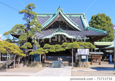 Shibamata Taishakuten Taishakudo and Mizuryu no Matsu in Shibamata, Katsushika-ku, Tokyo 75713716