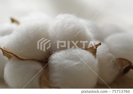 Cotton (natural cotton, cotton, cotton, cotton) Cotton (natural cotton, cotton, cotton, cotton) 75713760