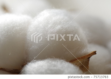 棉（天然棉，棉，棉，棉） 75713763