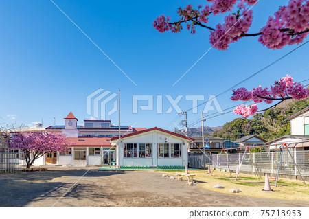 Cherry blossom spring kindergarten (nursery school) 75713953