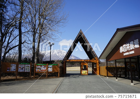 Koiwai farm in spring 75715671