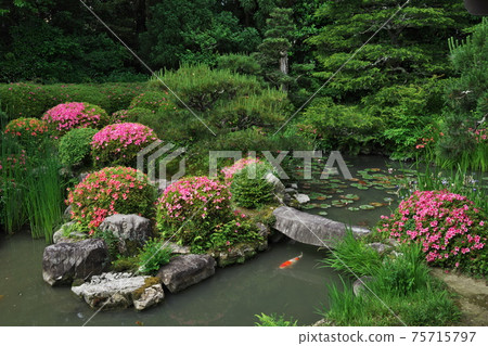 Anao-ji Garden Kyoto Anao-ji Garden Kyoto 75715797