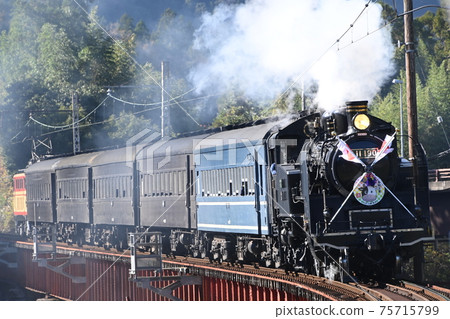 Oigawa Railway C11-190 Reiwa 3rd year with head mark Oigawa Railway C11-190 Reiwa 3rd year with head mark 75715799