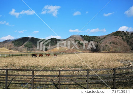 牧場風光,良種(北海道日高地區) 牧場風光,良種(北海道日高地區) 75715924