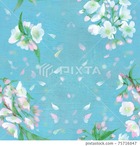 無縫模式燕尾蝴蝶飛過暴風雪和淺粉紅色的櫻花 75716847