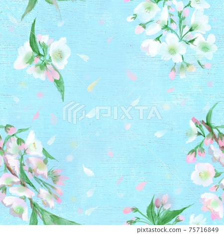 無縫模式燕尾蝴蝶飛過暴風雪和淺粉紅色的櫻花 75716849