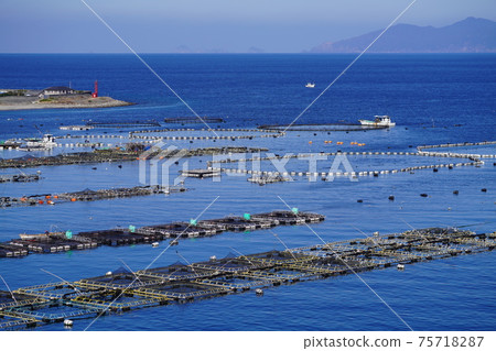 Kashiwajima red sea bream farm Kashiwajima red sea bream farm 75718287