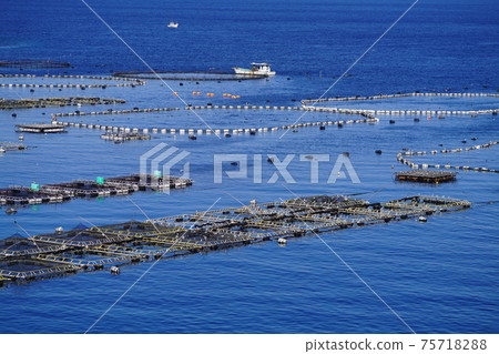Kashiwajima tuna farm Kashiwajima tuna farm 75718288