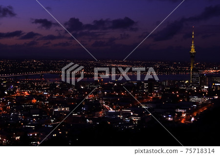 從伊甸山,奧克蘭,新西蘭的城市夜景 從伊甸山,奧克蘭,新西蘭的城市夜景 75718314