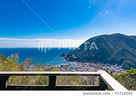 靜岡縣加茂郡川津町川津城堡遺址公園的景色（三月川津櫻花） 75718565