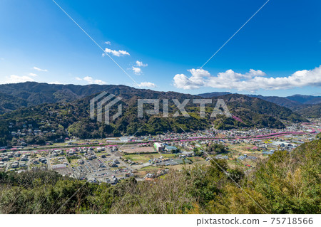 靜岡縣加茂郡川津町川津城堡遺址公園的景色(三月川津櫻花) 靜岡縣加茂郡川津町川津城堡遺址公園的景色(三月川津櫻花) 75718566