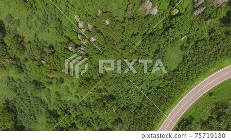 用無人機從天空拍攝的“Shiretoko-no-mori”（靠近Kamuiwakka熱水瀑布/北海道斜裡郡斜裡郡） 75719180