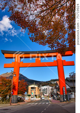 Otorii of Hakone Shrine 75719924