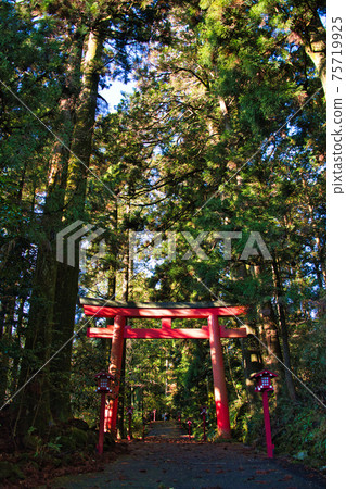 Hakone Shrine 75719925