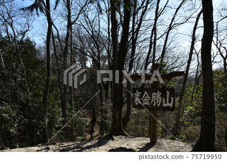 Slush fund Katsuyama mountaintop sign (Saitama Prefecture) 75719950