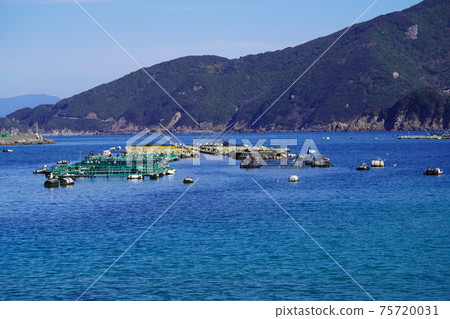 Sukumo Bay cage Sukumo Bay cage 75720031