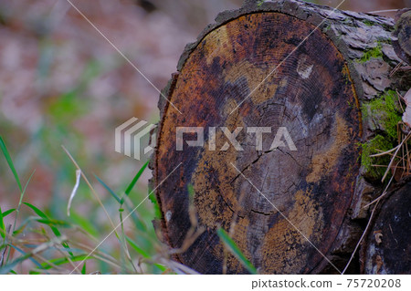 A log A log 75720208