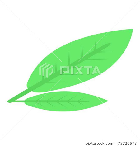 Peach leaf icon, isometric style 75720678