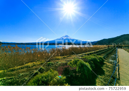 山梨縣富士山和富士五湖川口湖和藍天 山梨縣富士山和富士五湖川口湖和藍天 75722959