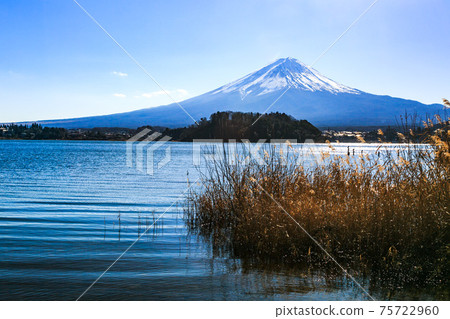 Yamanashi Prefecture Mt. Fuji and Fuji Five Lakes Lake Kawaguchi and the blue sky Yamanashi Prefecture Mt. Fuji and Fuji Five Lakes Lake Kawaguchi and the blue sky 75722960