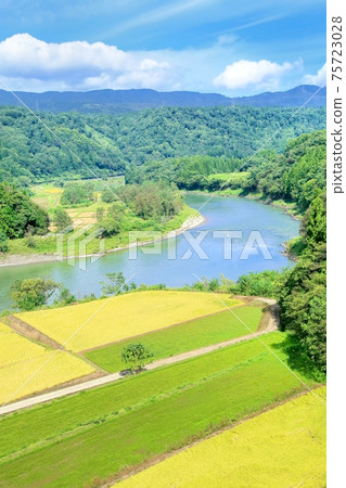 Rice terraces and the Chikuma River Rice terraces and the Chikuma River 75723028