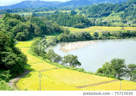 水稻梯田和千曲河 水稻梯田和千曲河 75723030