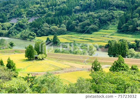 水稻梯田和千曲河 水稻梯田和千曲河 75723032