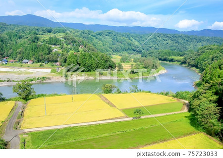 水稻梯田和千曲河 水稻梯田和千曲河 75723033