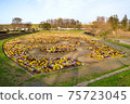 Flower field of Doman Green Park 75723045