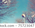 Park clock and light blue sky taken from a low angle 75723047