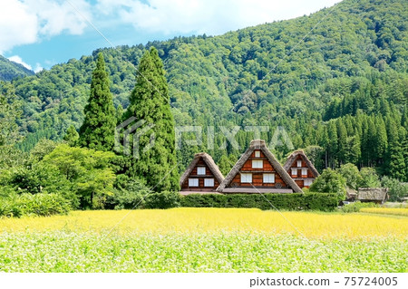 Shirakawago在秋天 Shirakawago在秋天 75724005