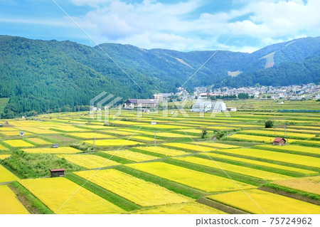 Nozawa Onsen Village, Fruitful Rice Terraces Nozawa Onsen Village, Fruitful Rice Terraces 75724962