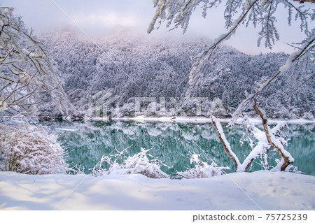 春天的櫻花！美麗的秋葉，Onzui湖（Hikihara水壩）（兵庫縣鹽莊市Hagacho）的雪景*作品註釋欄中的拍攝位置 75725239