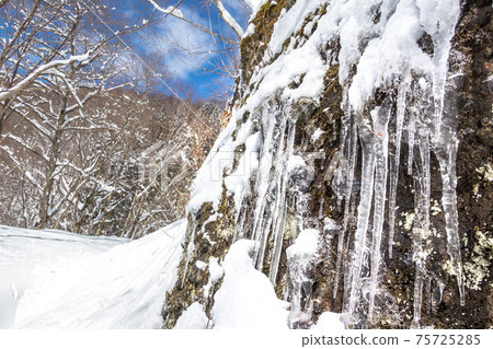 在通往the藤古人之森的積雪道路上發現的冰柱(鳥取縣矢津郡矢津町)*作品註釋欄中的拍攝位置 在通往the藤古人之森的積雪道路上發現的冰柱(鳥取縣矢津郡矢津町)*作品註釋欄中的拍攝位置 75725285
