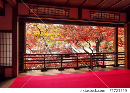 矢乃谷寺的紅葉，京都的紅葉著名景點，紅葉的壯麗景點 75725559